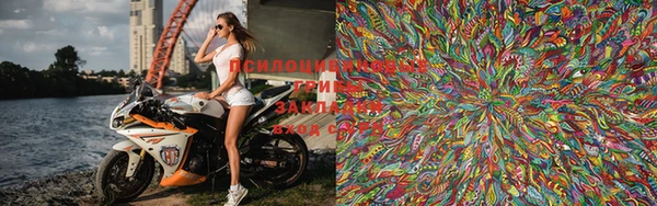 стафф Новодвинск