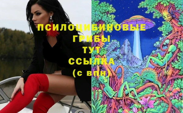 МДМА Алексеевка